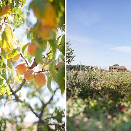 Agriturismo Il Mondo Guest House ปาร์มา ภายนอก รูปภาพ