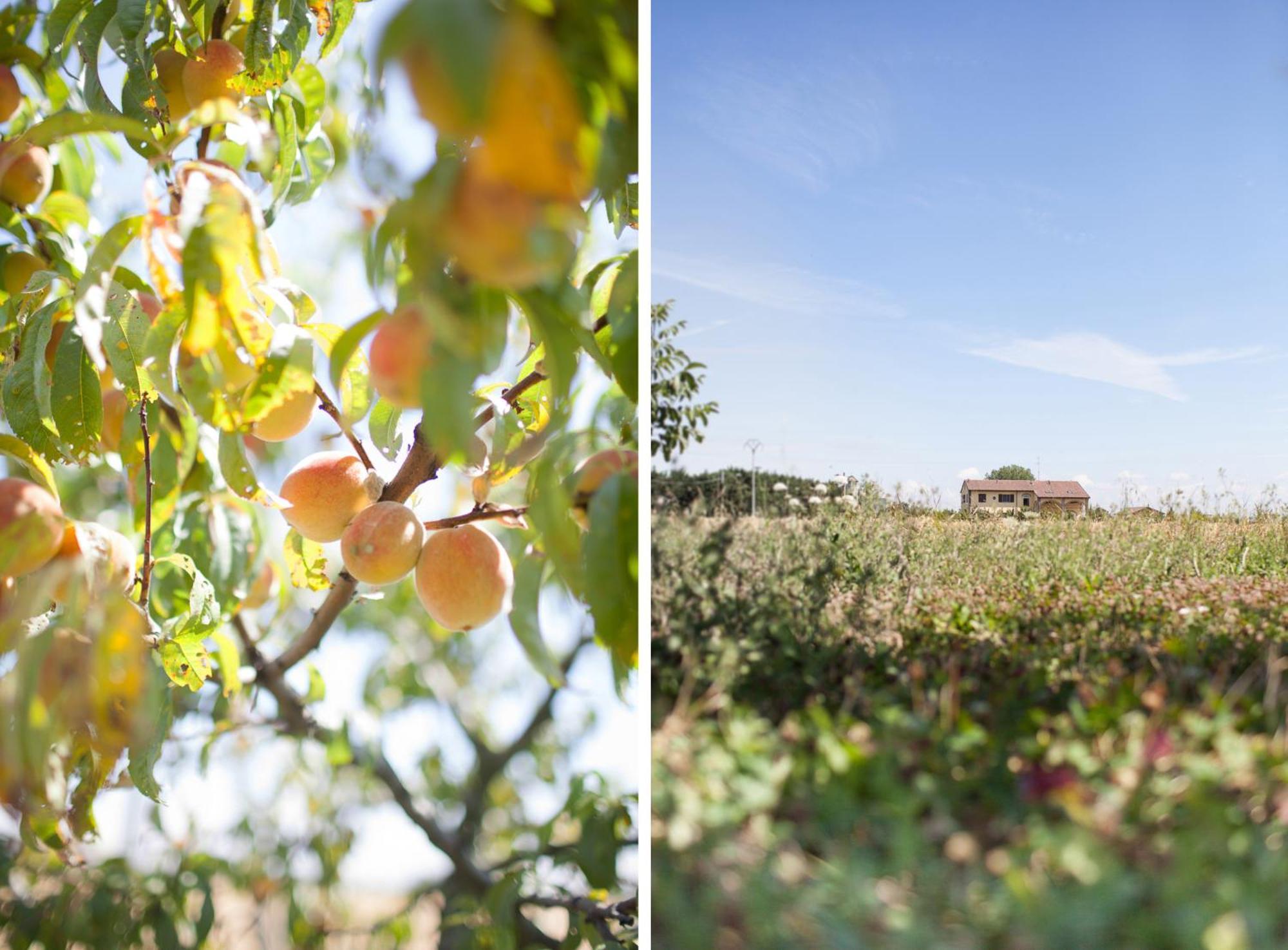 Agriturismo Il Mondo Guest House ปาร์มา ภายนอก รูปภาพ